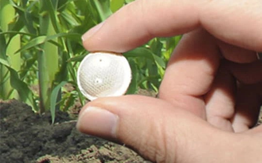 pastille de trichogrammes